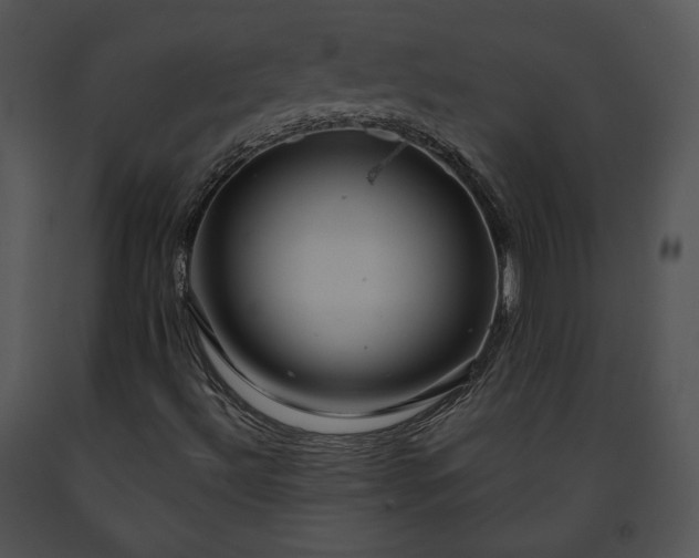 X0000091641492200708301348
