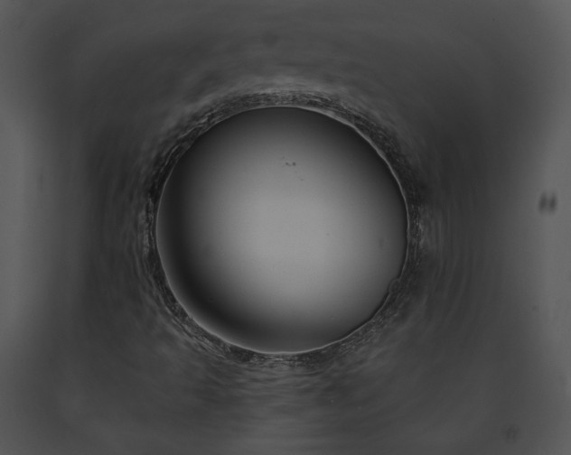 X0000091641493200708301348