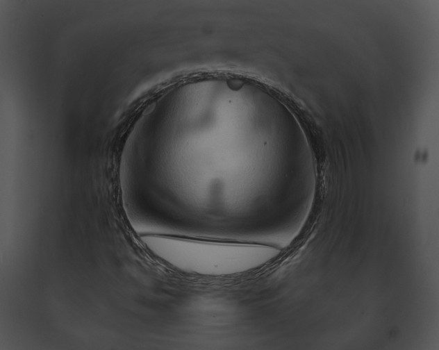 X0000091641494200708301348