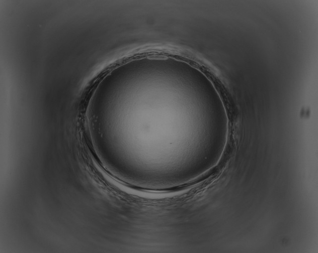 X0000091641496200708301348