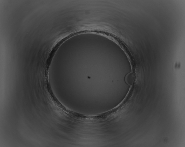 X0000091641497200708301348