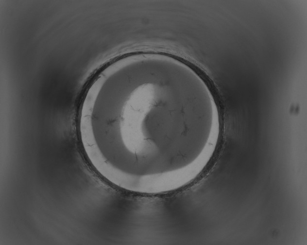 X0000091641498200708301348