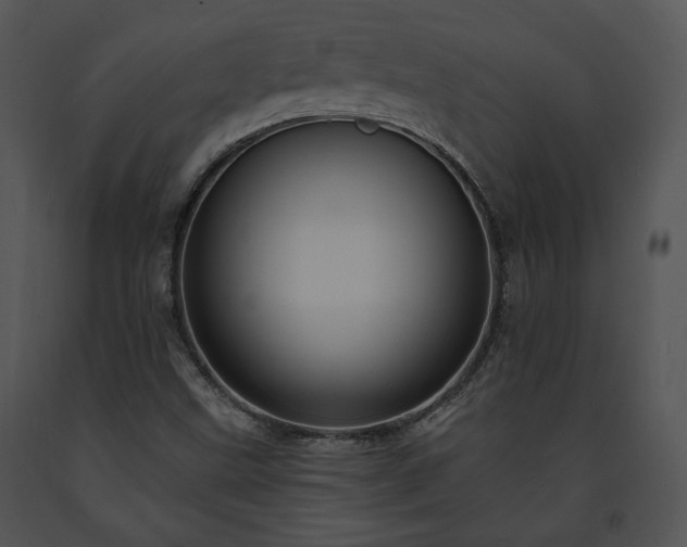 X0000091641499200708301348