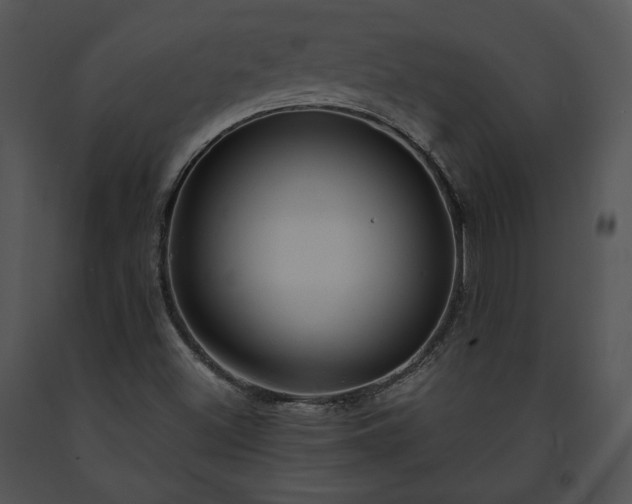 X0000091641500200708301348