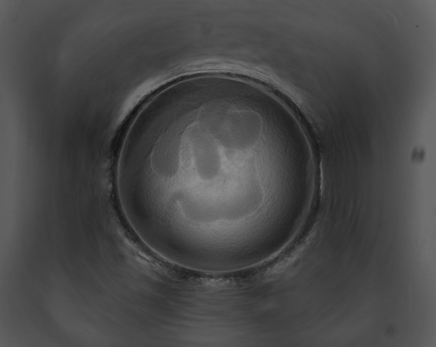 X0000091641501200708301348