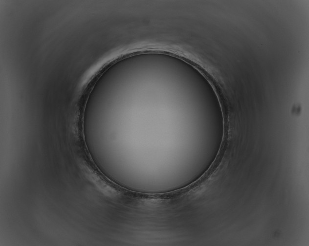X0000091641502200708301348