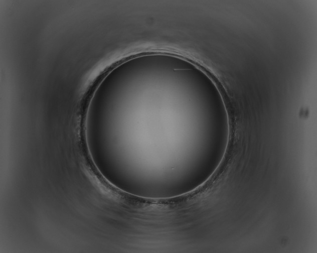 X0000091641503200708301348