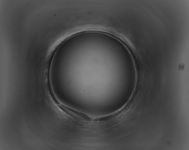 X0000091641504200708301348