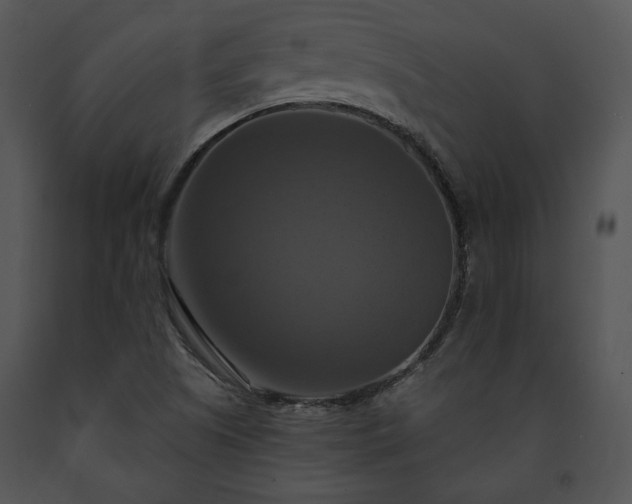 X0000091641505200708301348