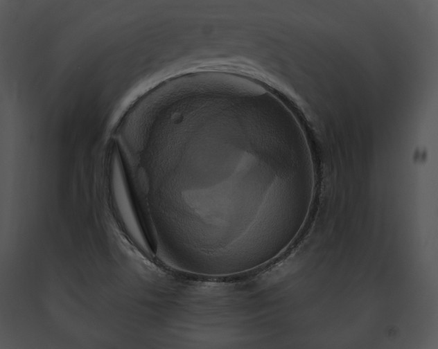 X0000091641506200708301348