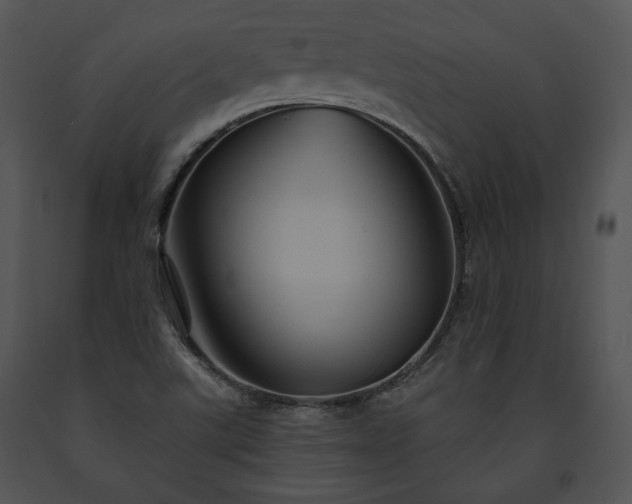 X0000091641507200708301348