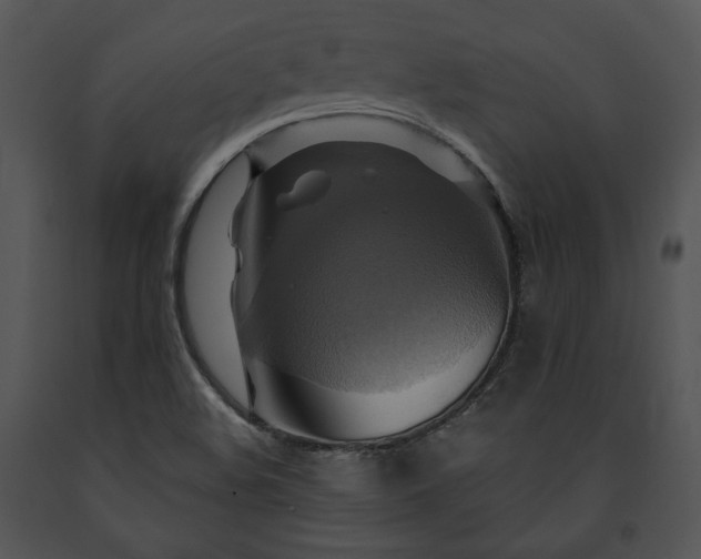 X0000091641508200708301348
