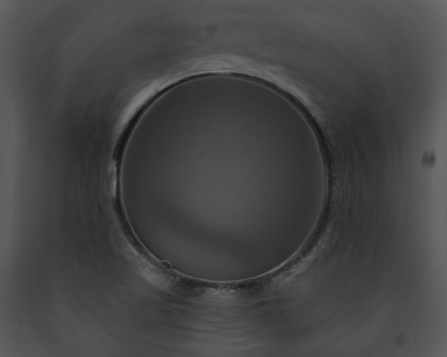 X0000091641509200708301348