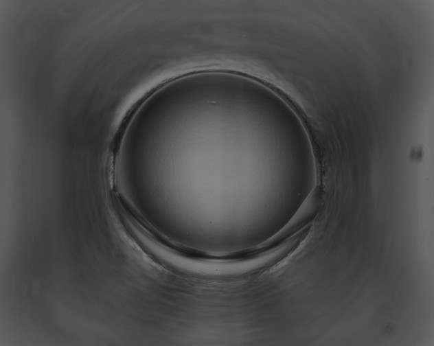 X0000091641510200708301348
