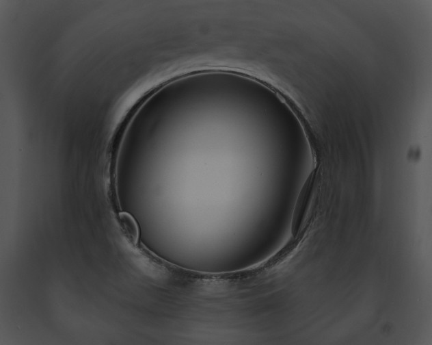 X0000091641511200708301348