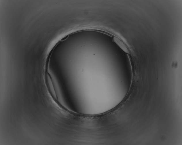 X0000091641512200708301348