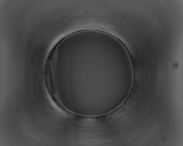 X0000091641515200708301348