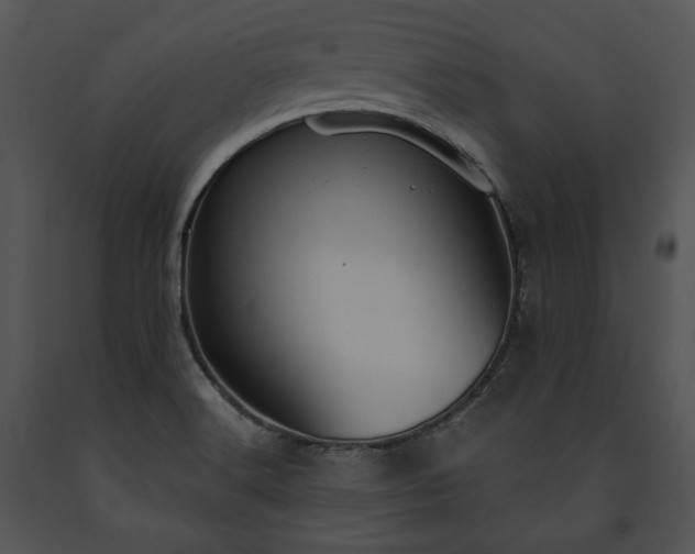 X0000091641516200708301348