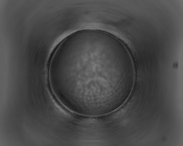 X0000091641517200708301348