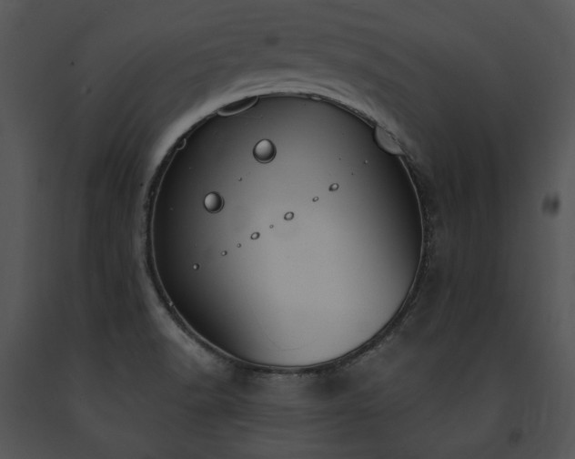 X0000091641518200708301348