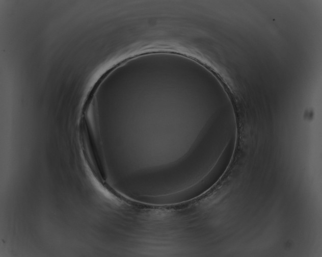 X0000091641519200708301348