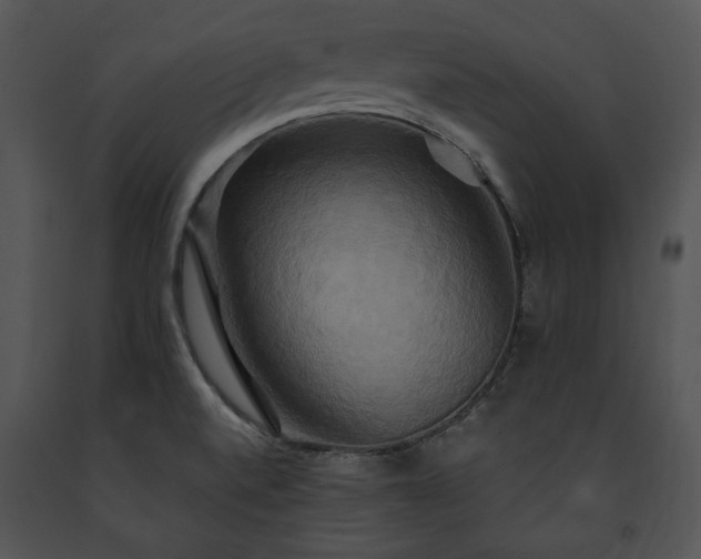 X0000091641520200708301348