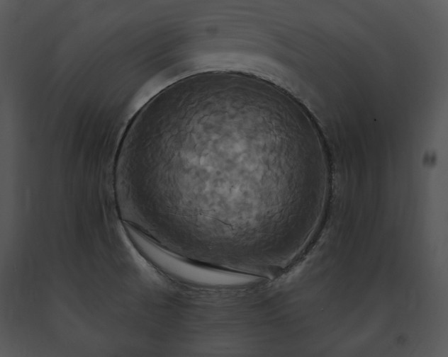 X0000091641521200708301348