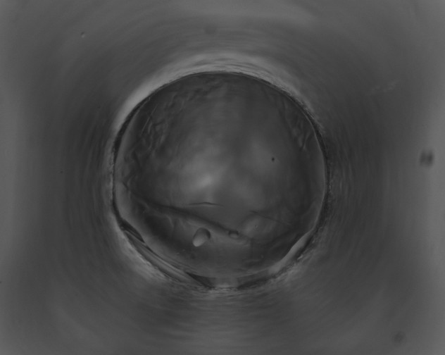 X0000091641522200708301348