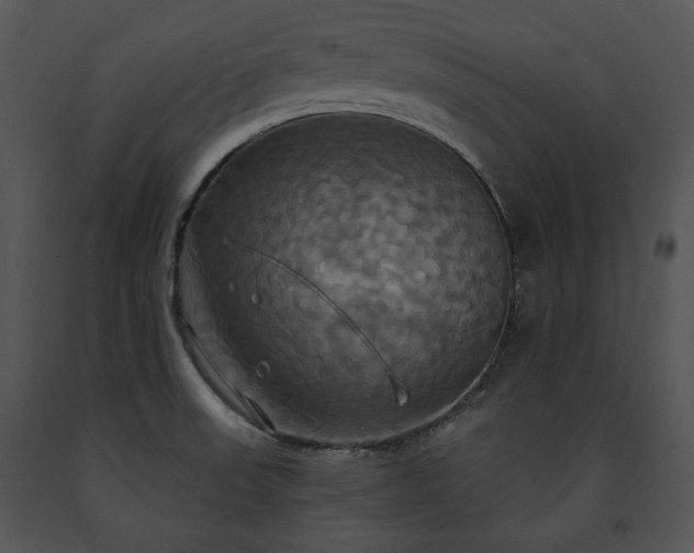 X0000091641523200708301348