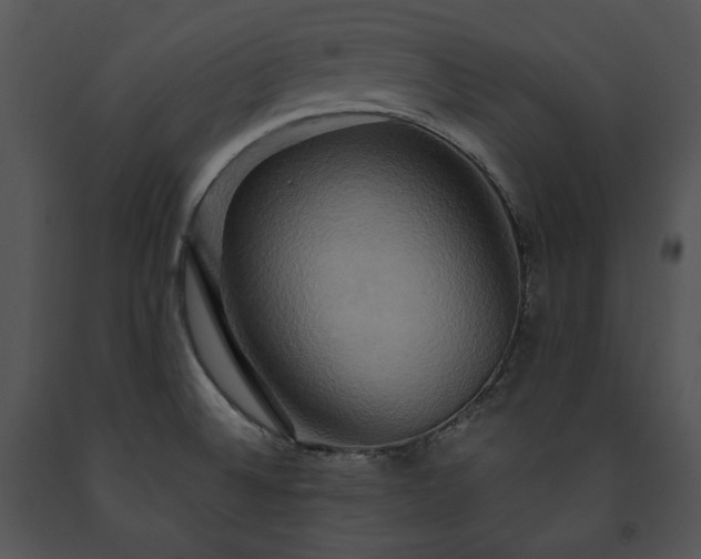 X0000091641524200708301348