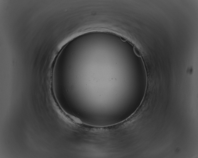 X0000091641526200708301348