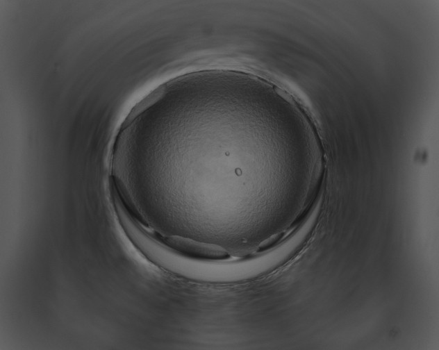 X0000091641528200708301348