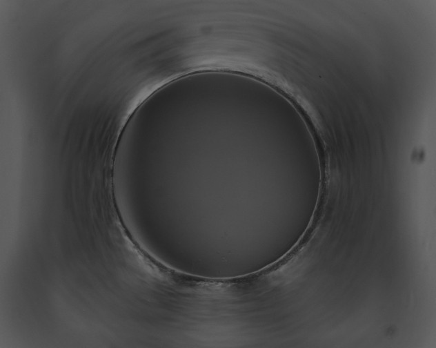 X0000091641529200708301348