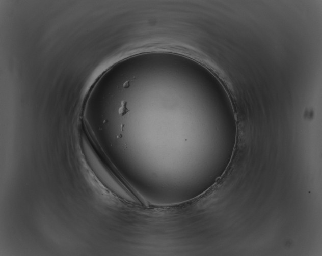 X0000091641530200708301348