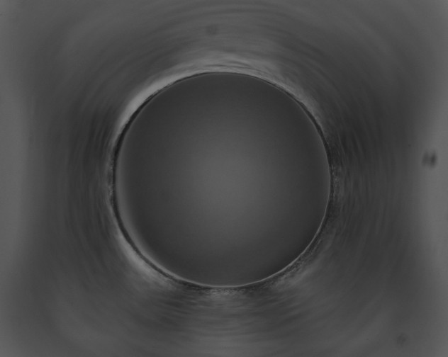 X0000091641531200708301348