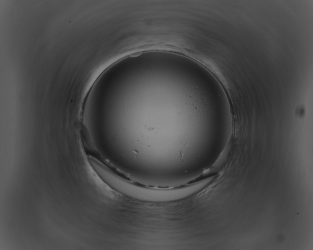 X0000091641532200708301348