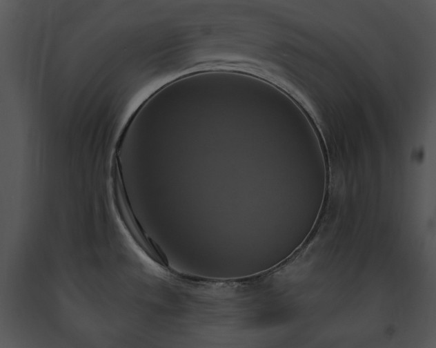 X0000091641533200708301348