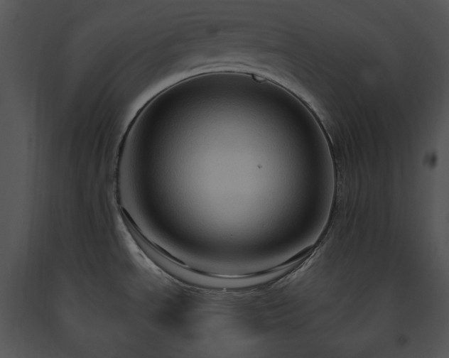 X0000091641534200708301348