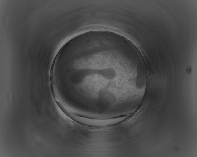 X0000091641535200708301348