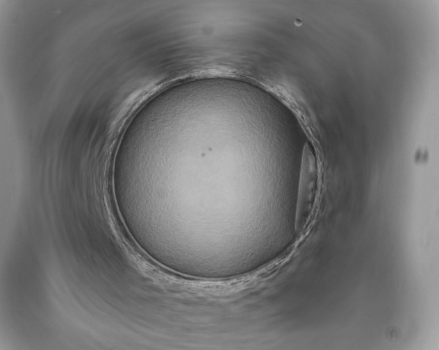 X0000091640001200709060947