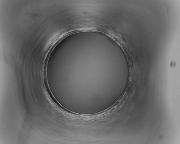 X0000091640002200709060947