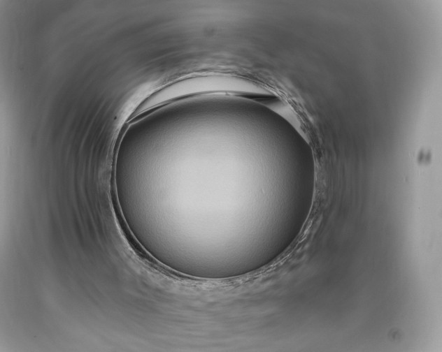 X0000091640003200709060947