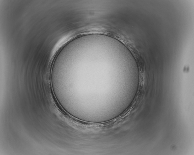 X0000091640004200709060947