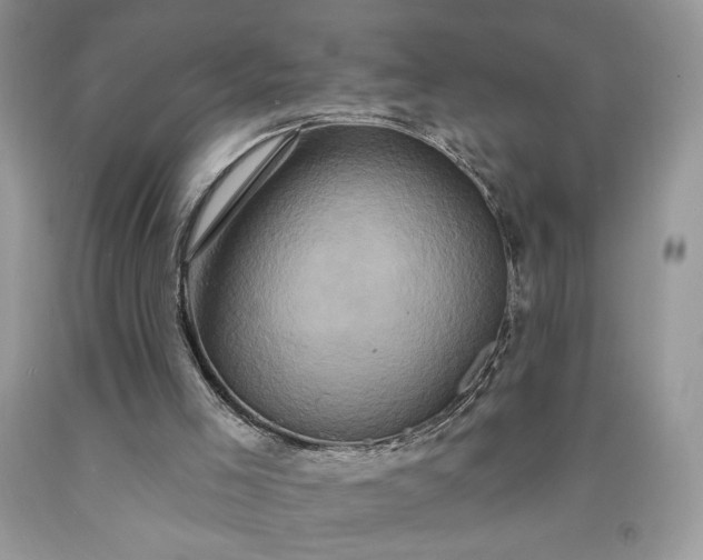 X0000091640005200709060947