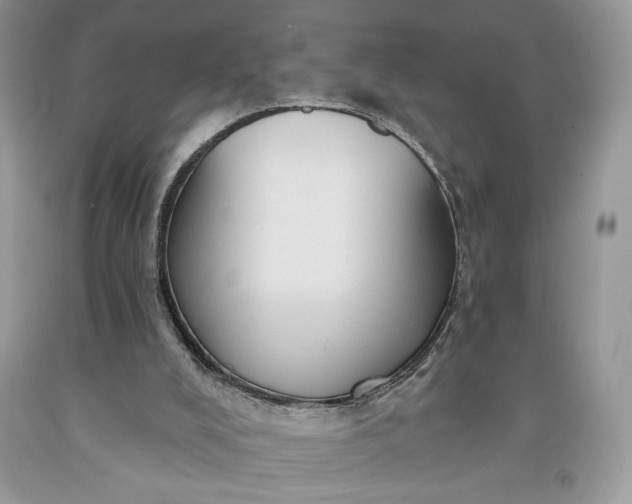 X0000091640008200709060947