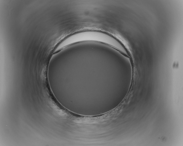 X0000091640009200709060947