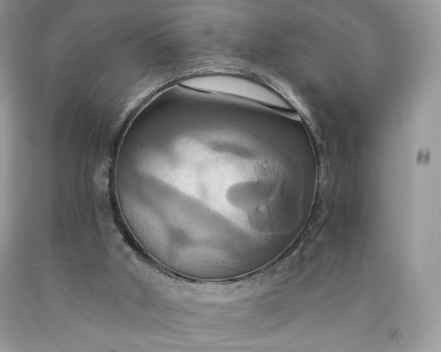 X0000091640010200709060947