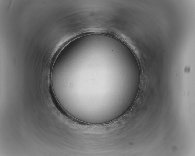 X0000091640011200709060947