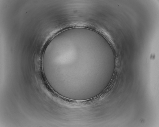 X0000091640012200709060947
