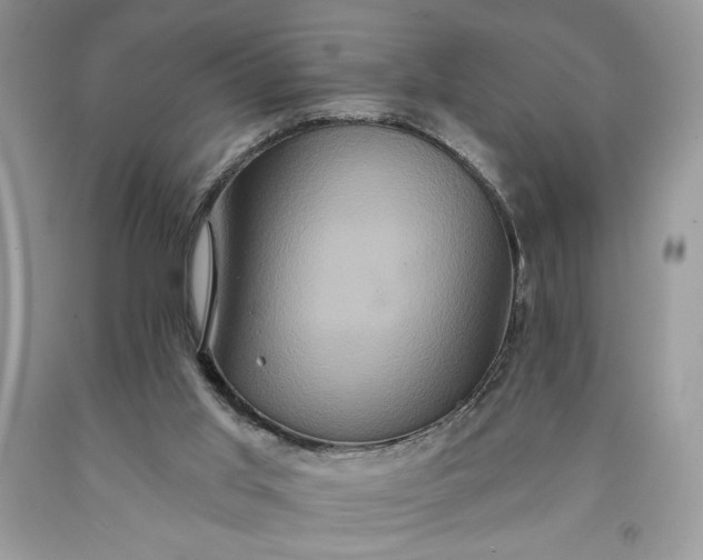 X0000091640013200709060947